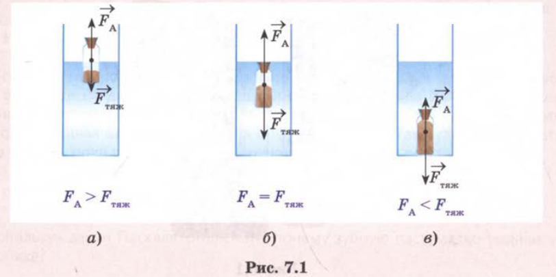 Рис. 7.1
