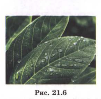 Рис. 21.6